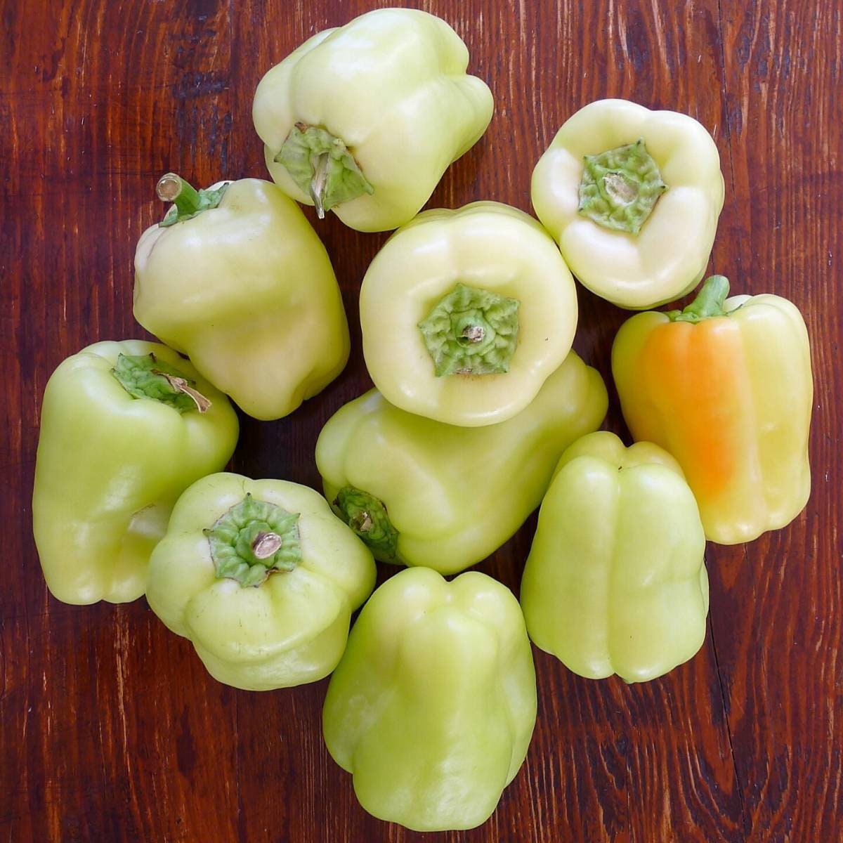 Heirloom Organic White Bell Pepper Seeds