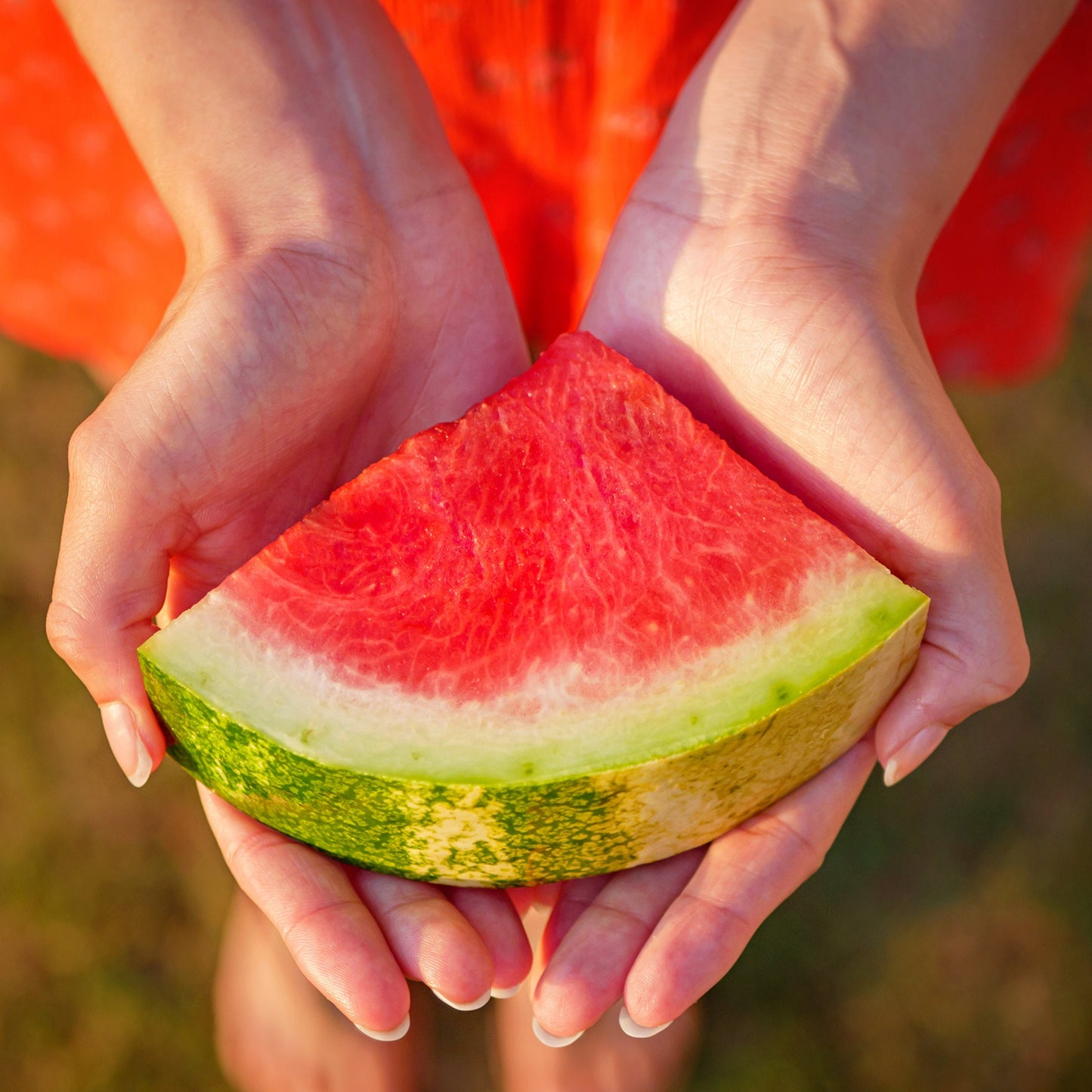 Organic KLECKLEYS Sweet Watermelon