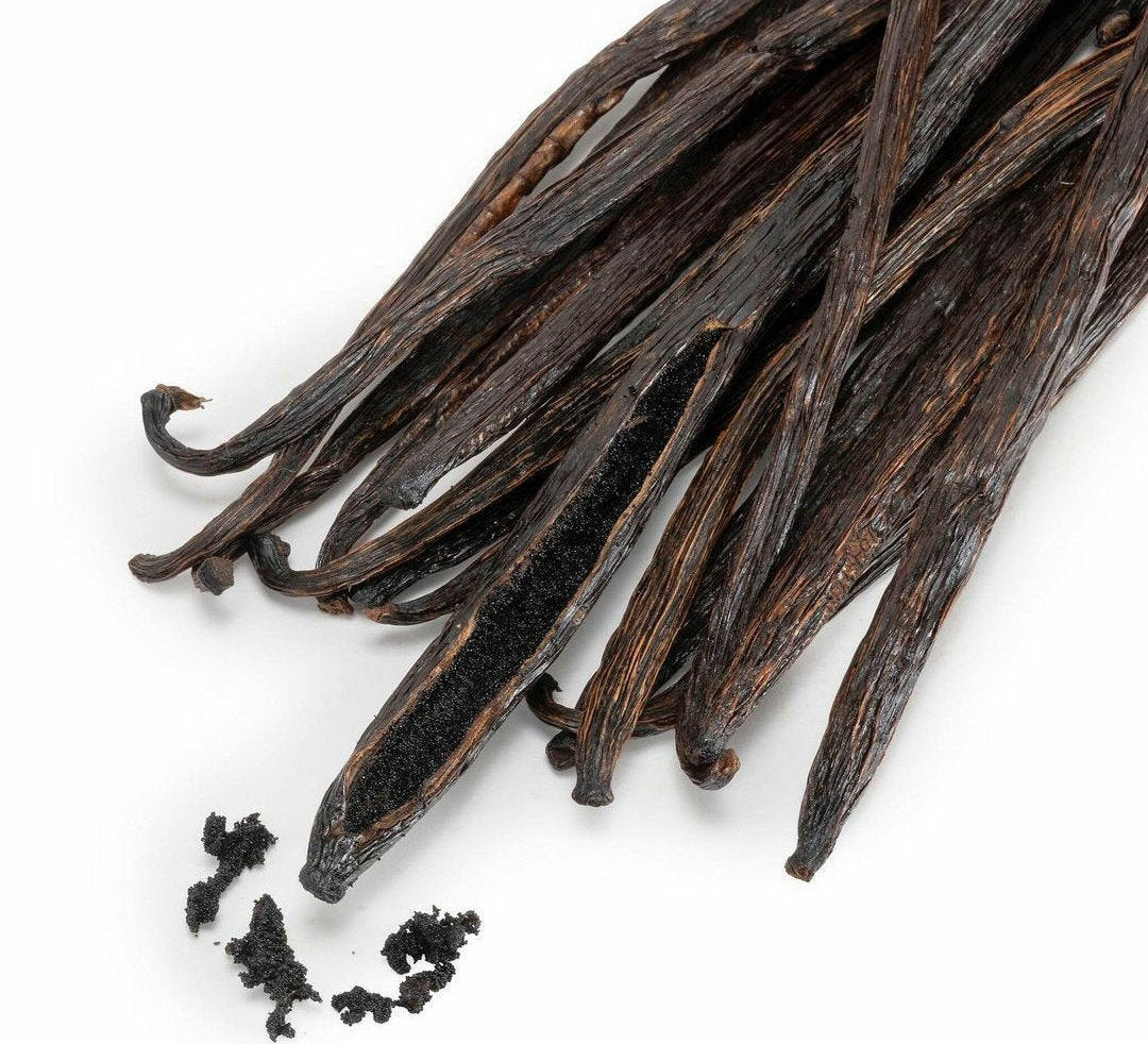 vanilla bean plant seeds for sale Heirloom Organic Vanilla VineVanilla planifolia Seeds !Vanilla bean Orchid seeds spices and herbs on site!