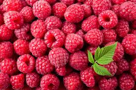 Organic Heirloom Raspberry Bush Fruit Seeds