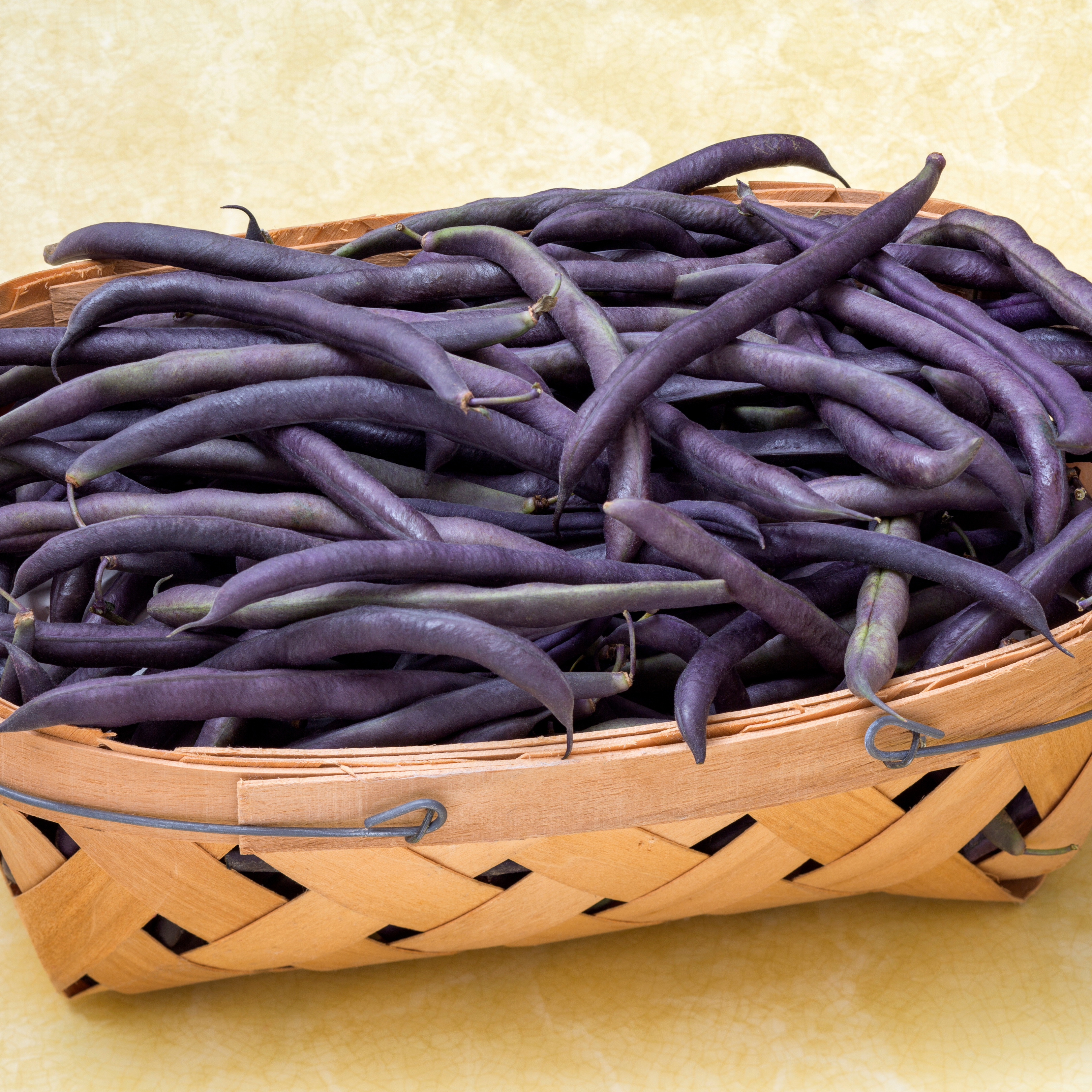 Organic Mississippi Purple Cowpeas Beans